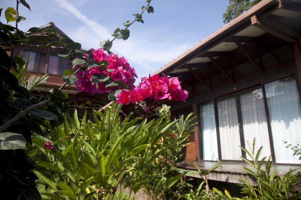 Kenaki Lodge Puerto Viejo de Talamanca المظهر الخارجي الصورة