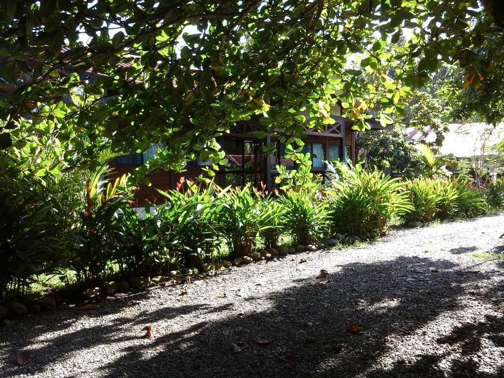 Kenaki Lodge Puerto Viejo de Talamanca المظهر الخارجي الصورة