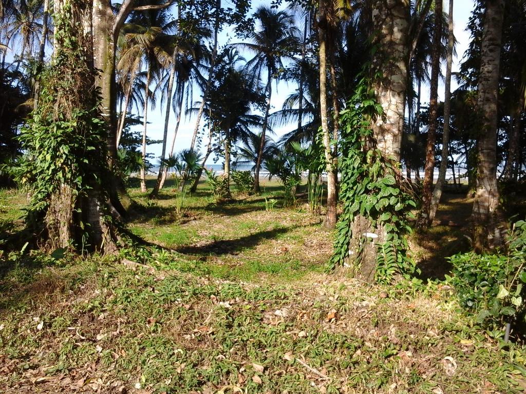 Kenaki Lodge Puerto Viejo de Talamanca المظهر الخارجي الصورة