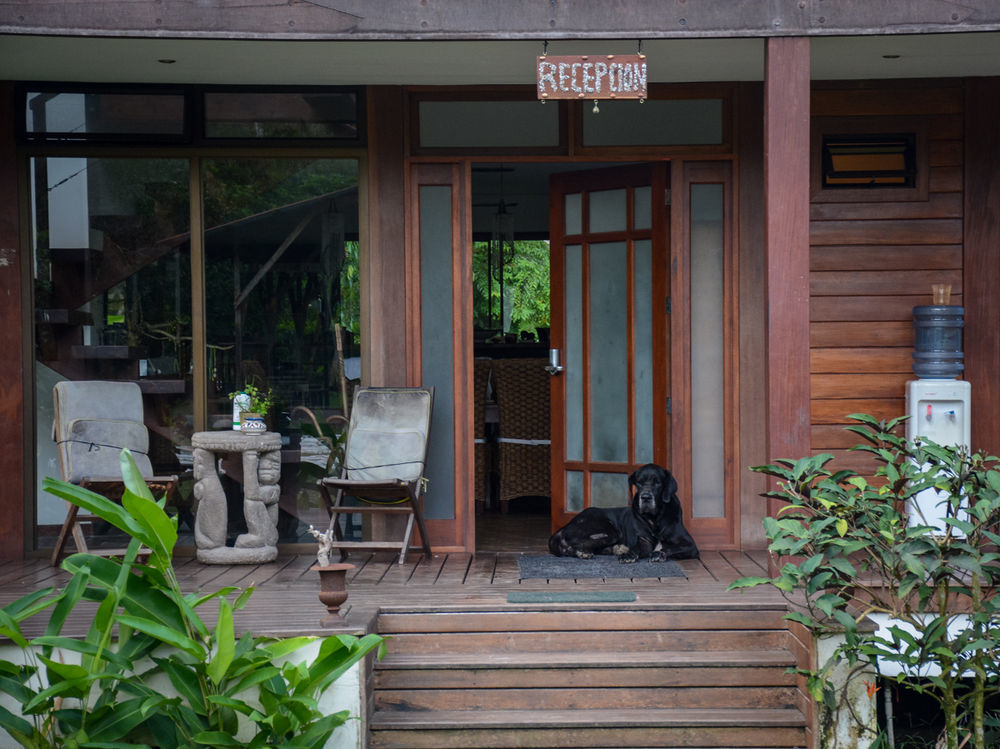 Kenaki Lodge Puerto Viejo de Talamanca المظهر الخارجي الصورة